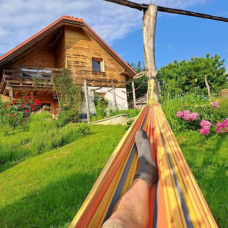 Holiday Home Trnavsko Bogojina Luaran gambar