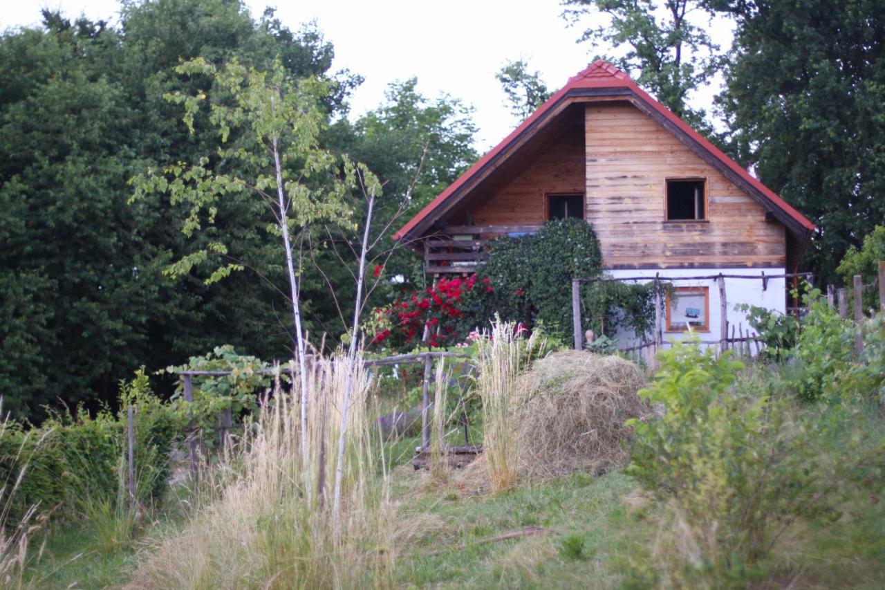 Holiday Home Trnavsko Bogojina Luaran gambar