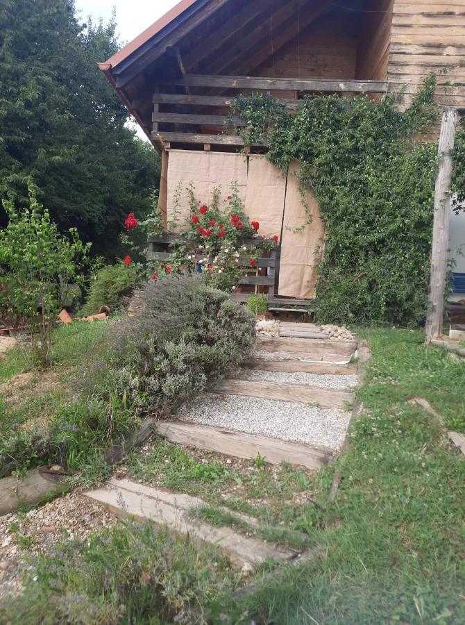 Holiday Home Trnavsko Bogojina Luaran gambar