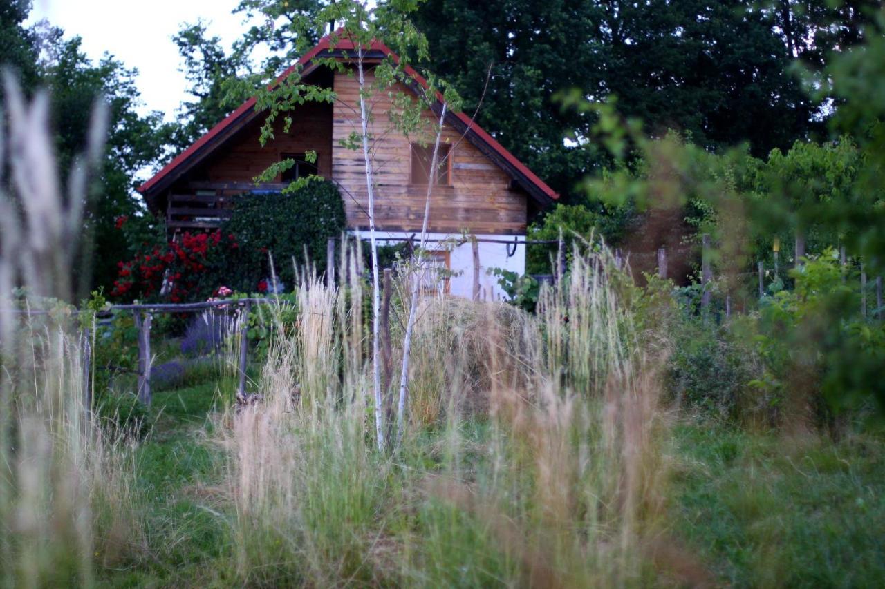 Holiday Home Trnavsko Bogojina Luaran gambar